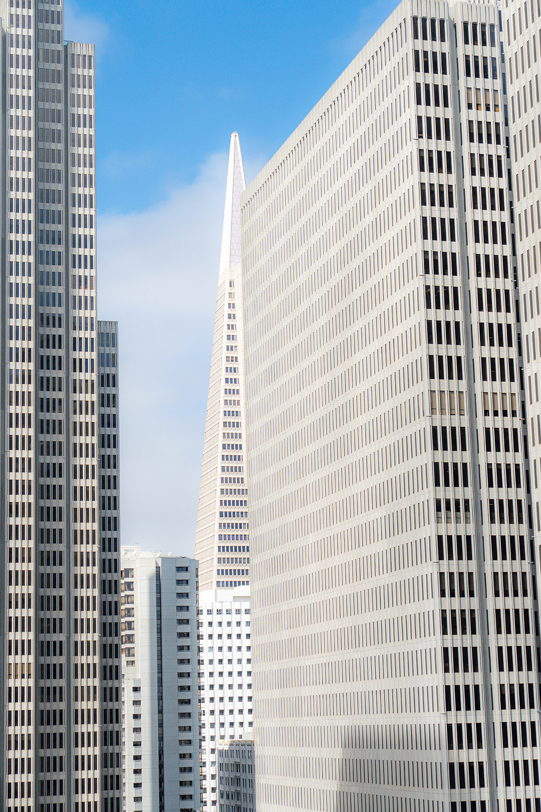 Towering San Francisco skyscraper viewed from a wedding venue in the city