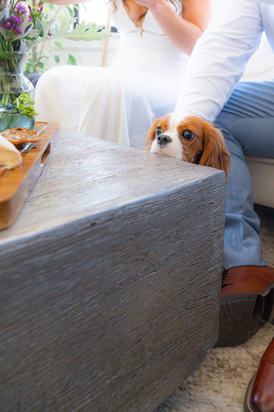 Dog at a wedding reception held at a private residence in San Francisco, California.