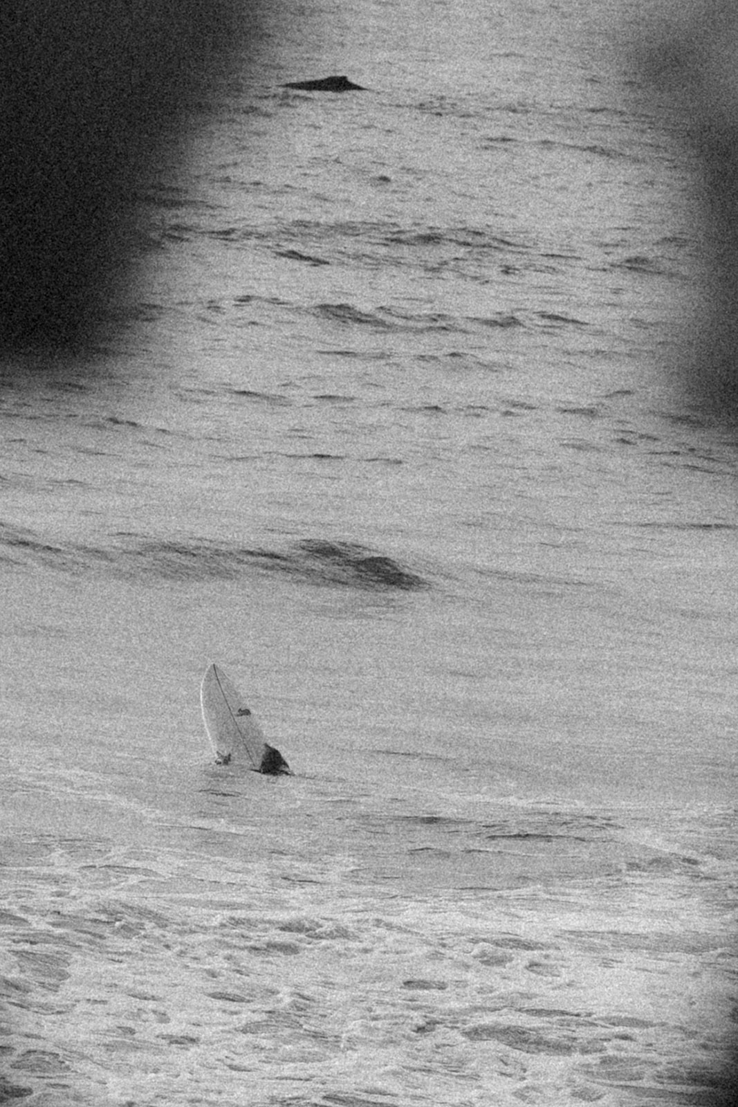 Whale sighting and surfer in the ocean during a motorcycle engagement session at Pacifica State Beach in California
